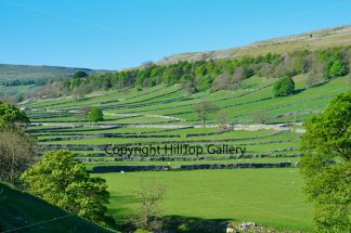 Yorkshire Dales